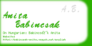 anita babincsak business card